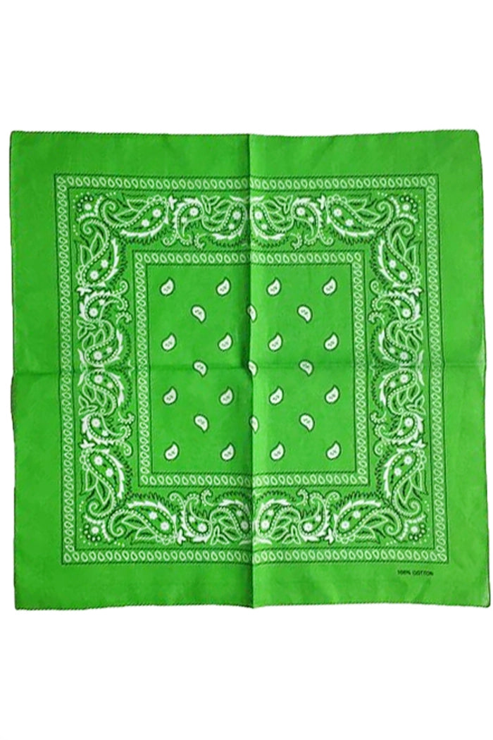 Paisley Print Square Bandanas