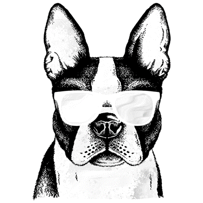 Summer Solar Dog T-Shirt