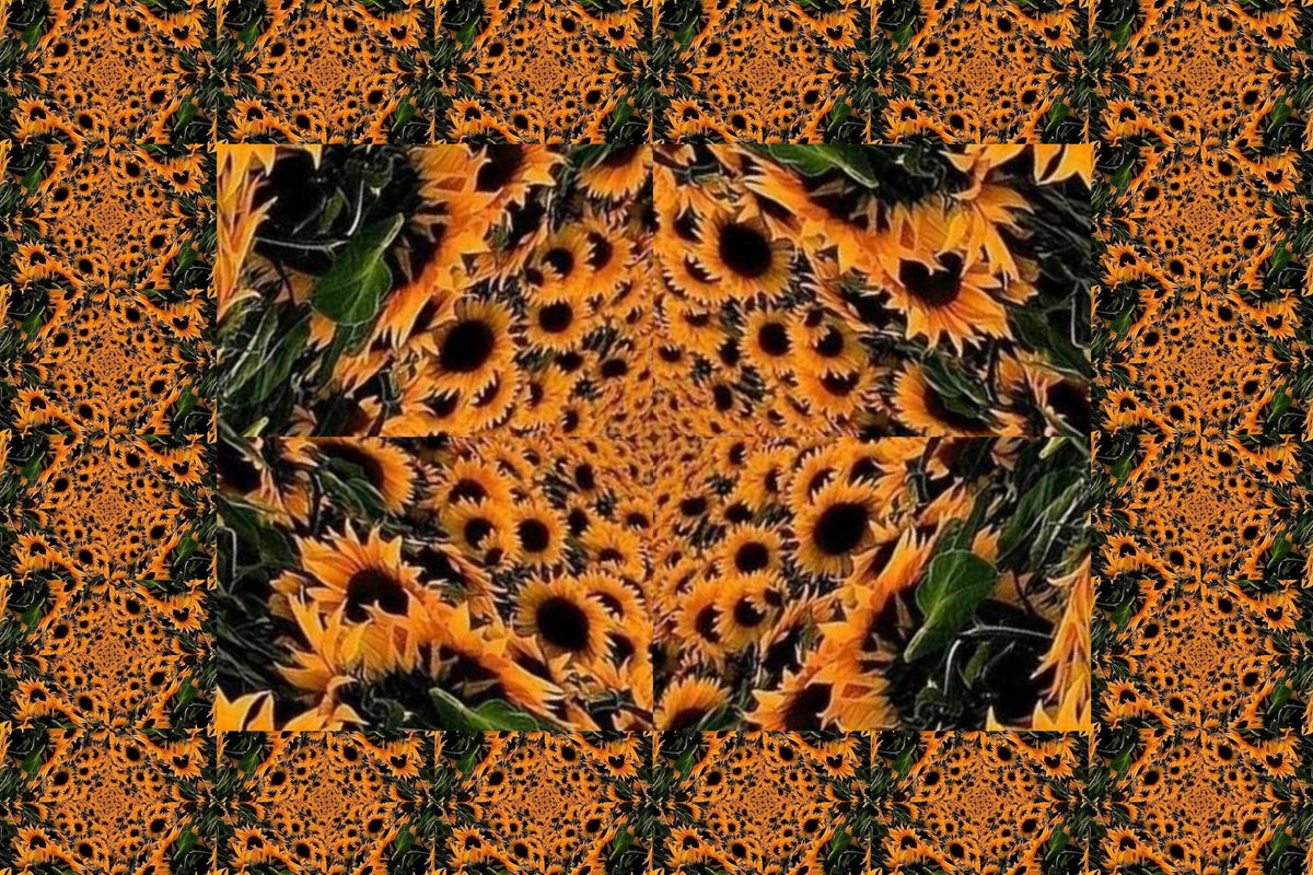 Kaleidoscope Puzzle Signe by Artist
