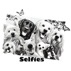 Solar Color Changing Selfie T-Shirt