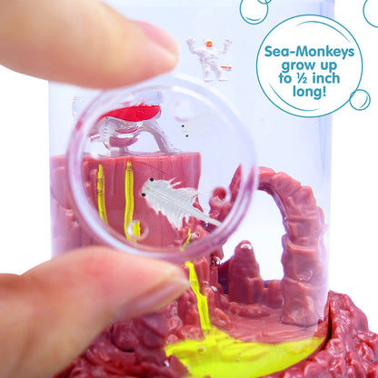 Sea Monkeys on Mars