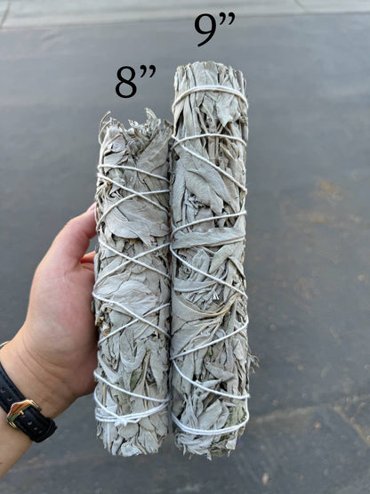 9" Inch California White Sage