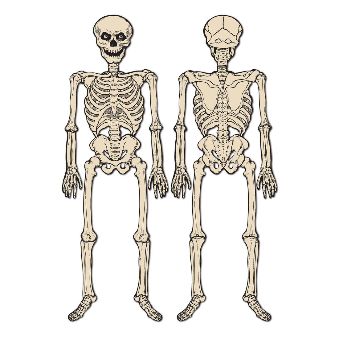 Vintage Halloween Jointed Skeleton 4&