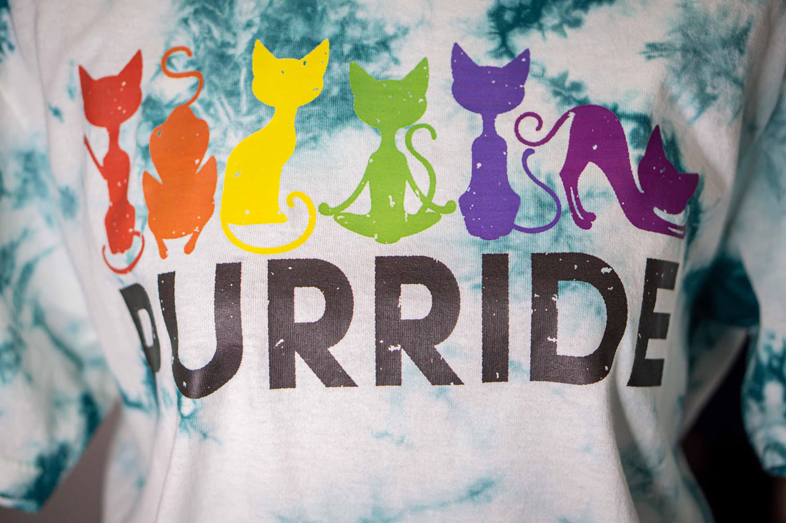 Purride Rainbow Cats Pride T-Shirt - Random Hippie