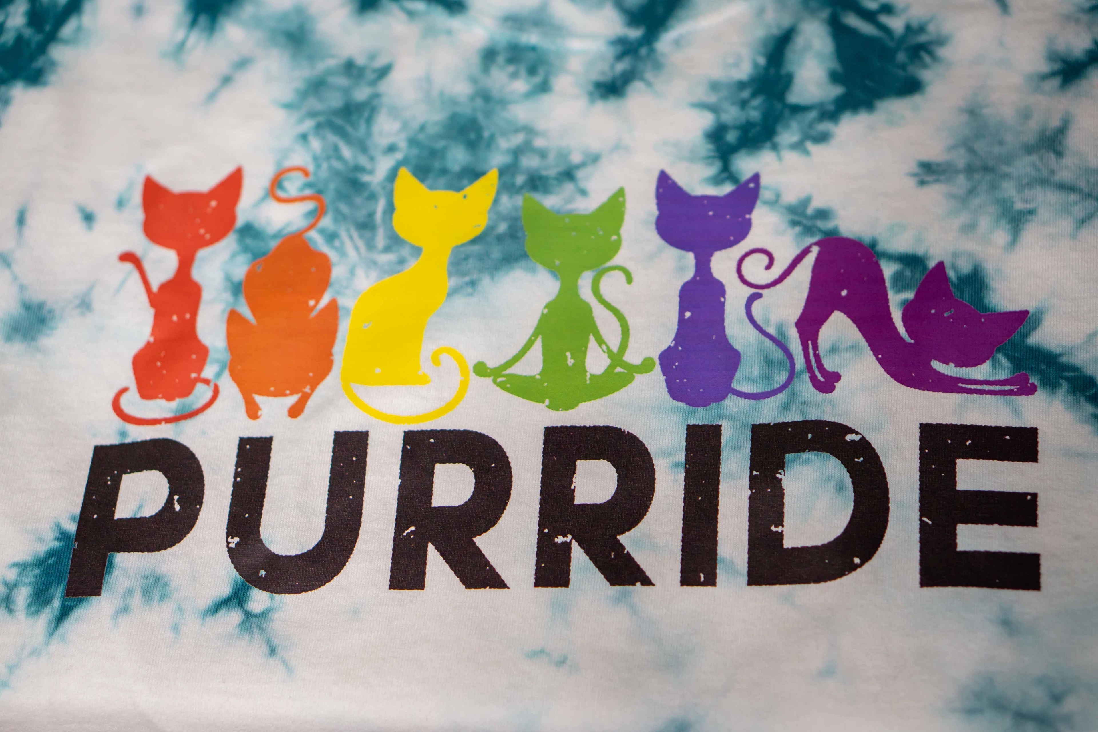 Purride Rainbow Cats Pride T-Shirt - Random Hippie